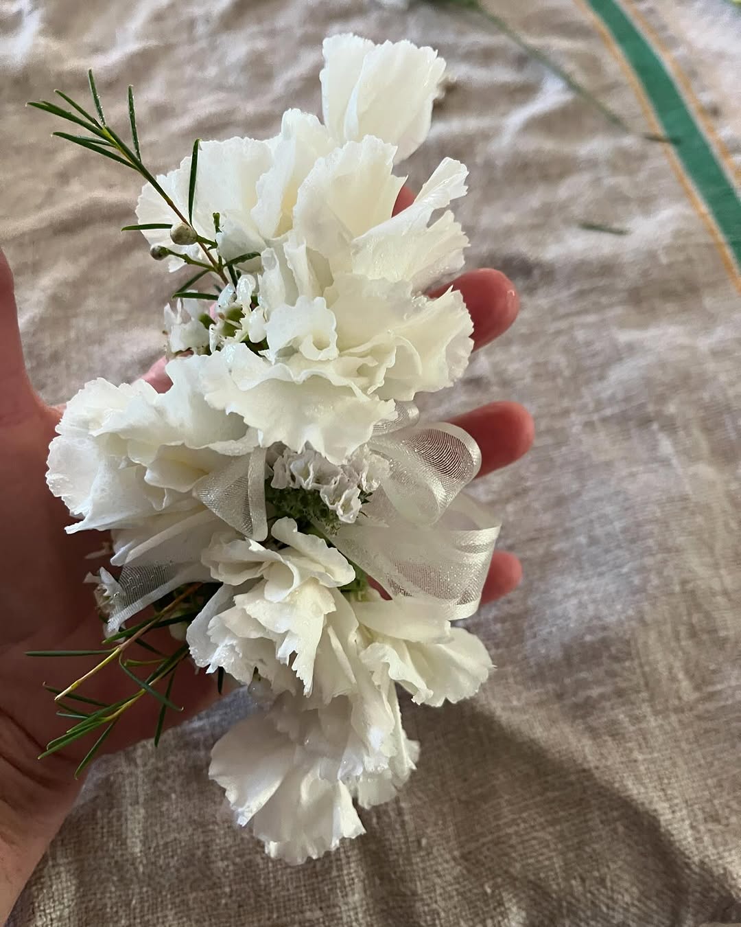 Pure White Carnations with Sheer Elegance