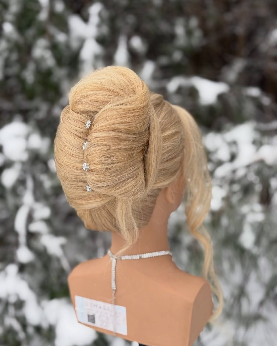 Vintage Glam Updo with Crystal Accents
