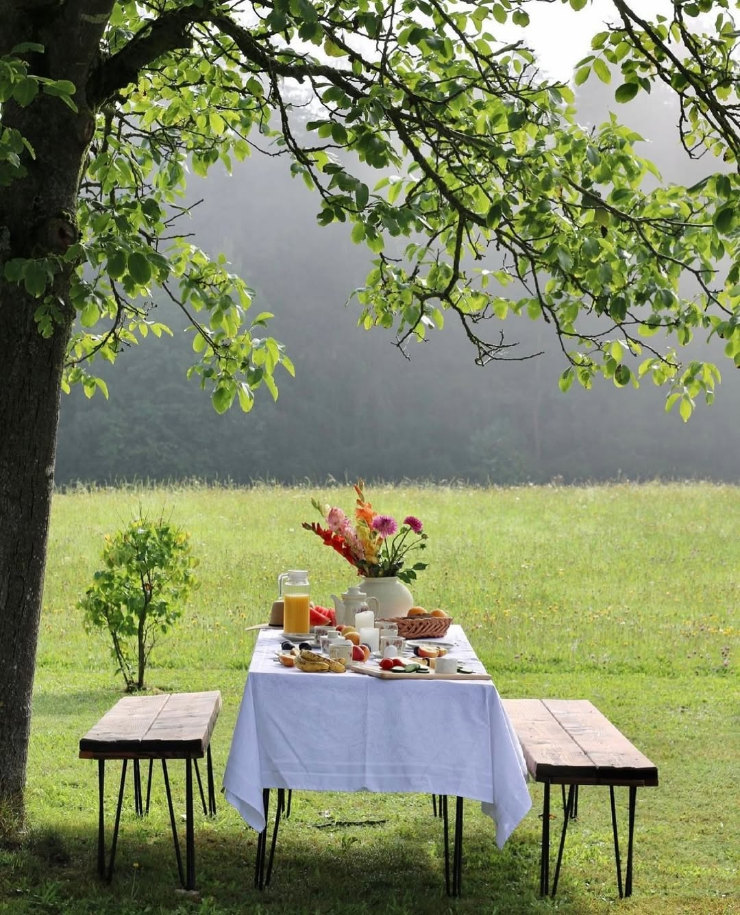 Under the Tree