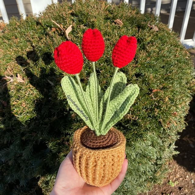 Crocheted Flowers