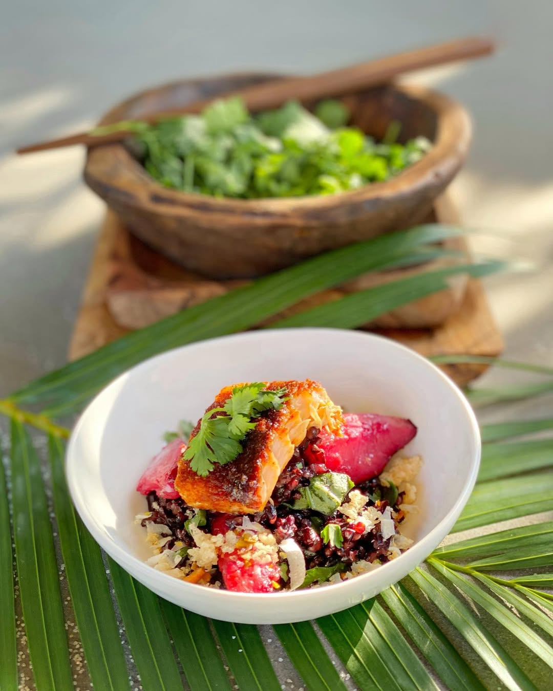 Spice Rubbed Salmon with Plum and Black Rice