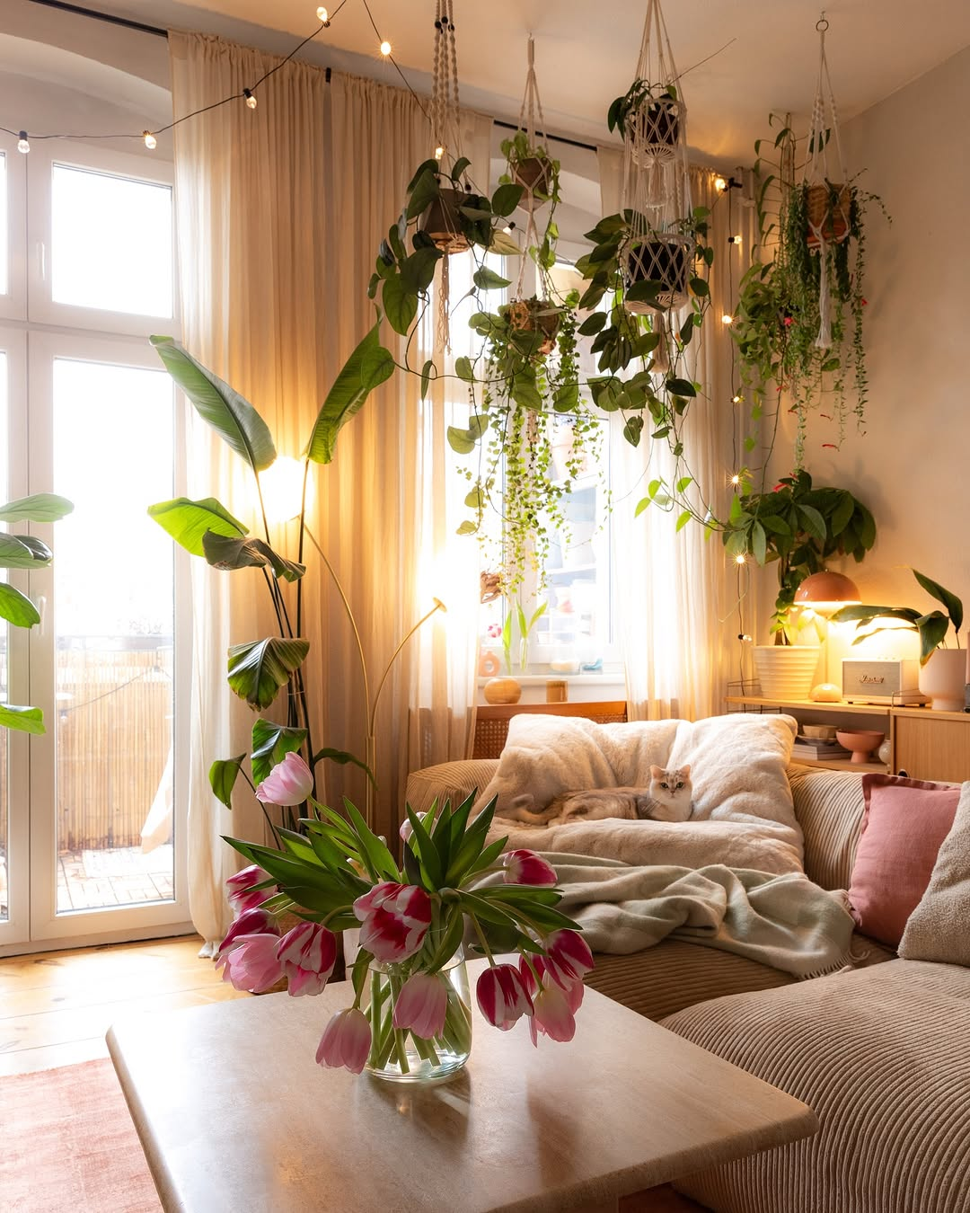 Houseplants