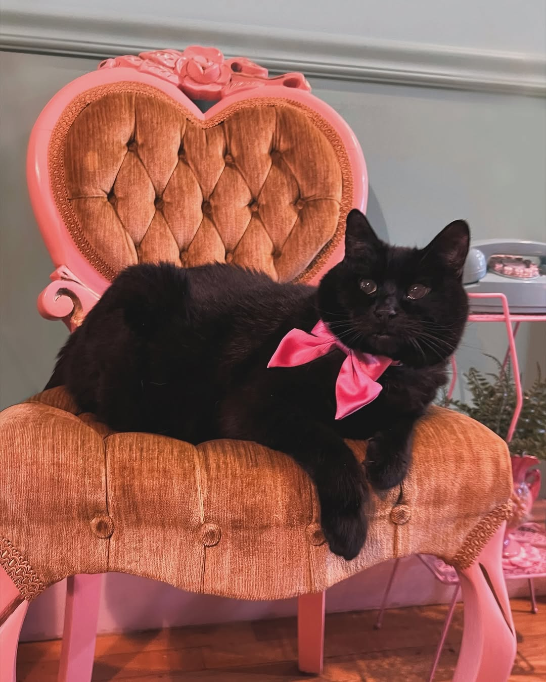 Cute Comfy Chair