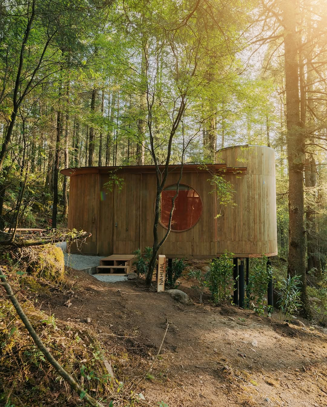 Cabin in the Forest