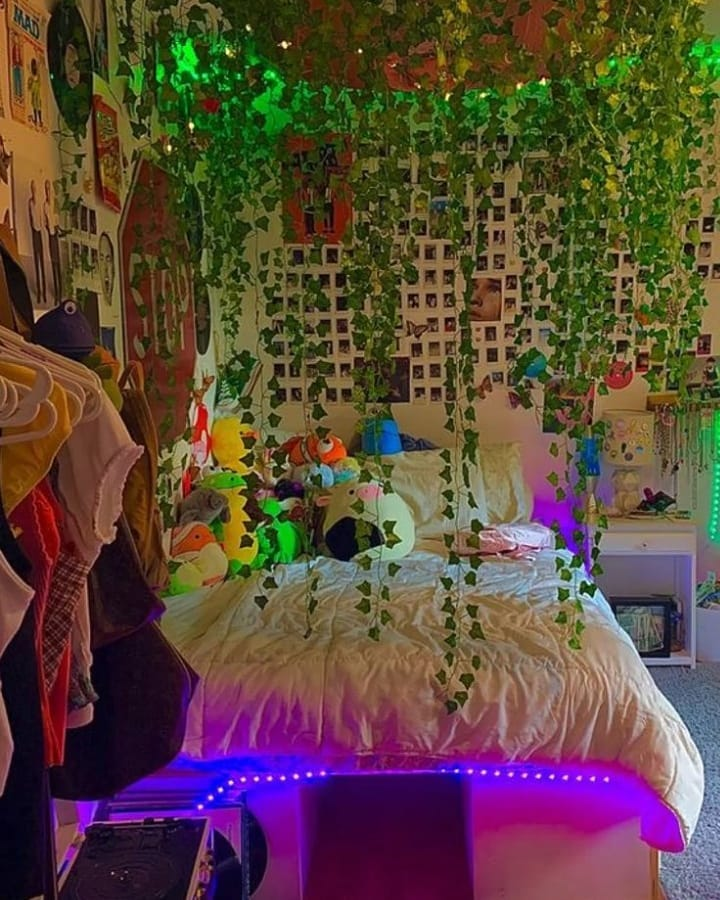 Faux or Real Plants 