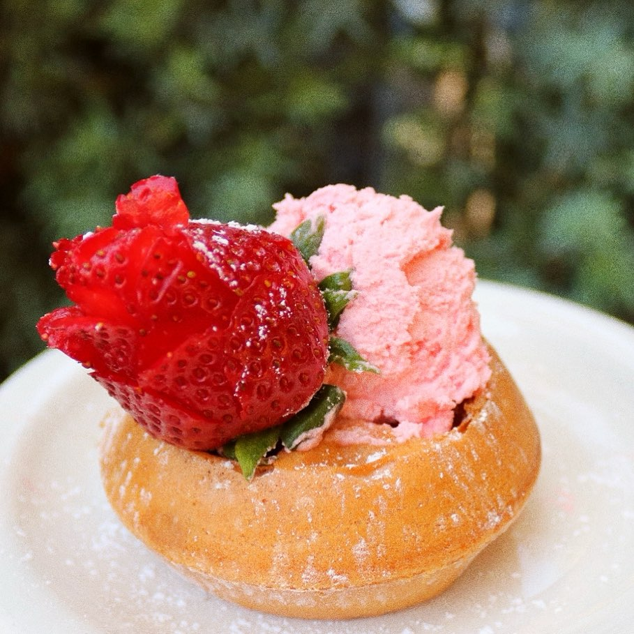 A Bloom You Can Eat