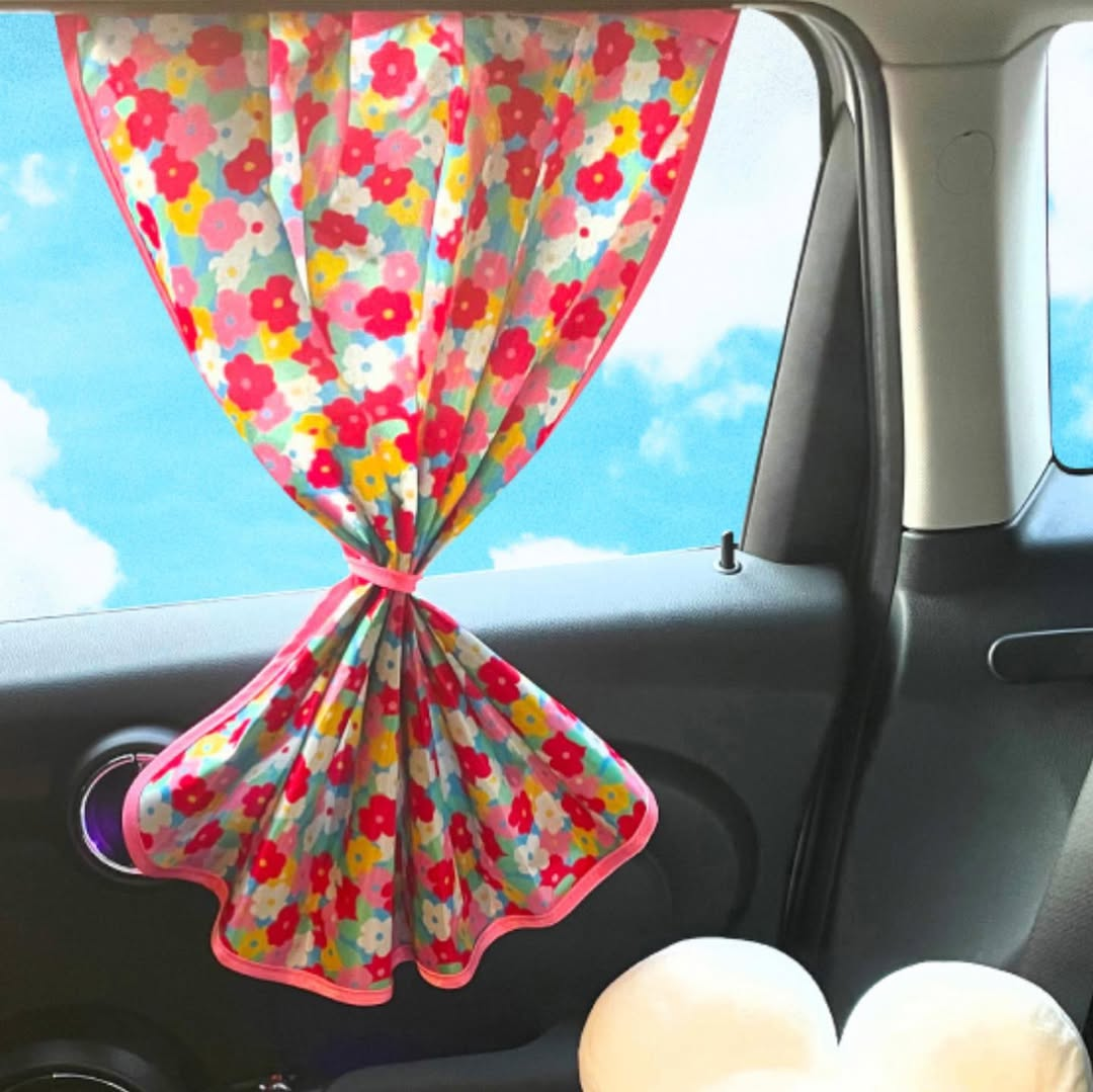 Window Curtains