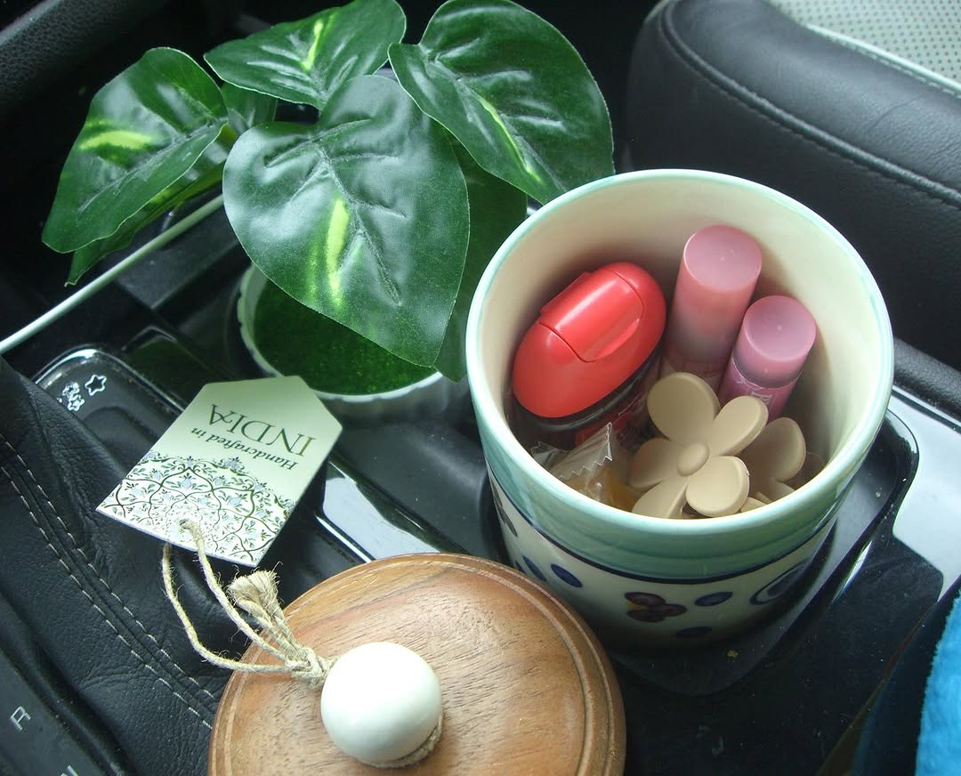 Cute Car Storage