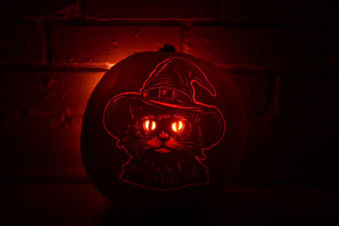 Witchy Cat
