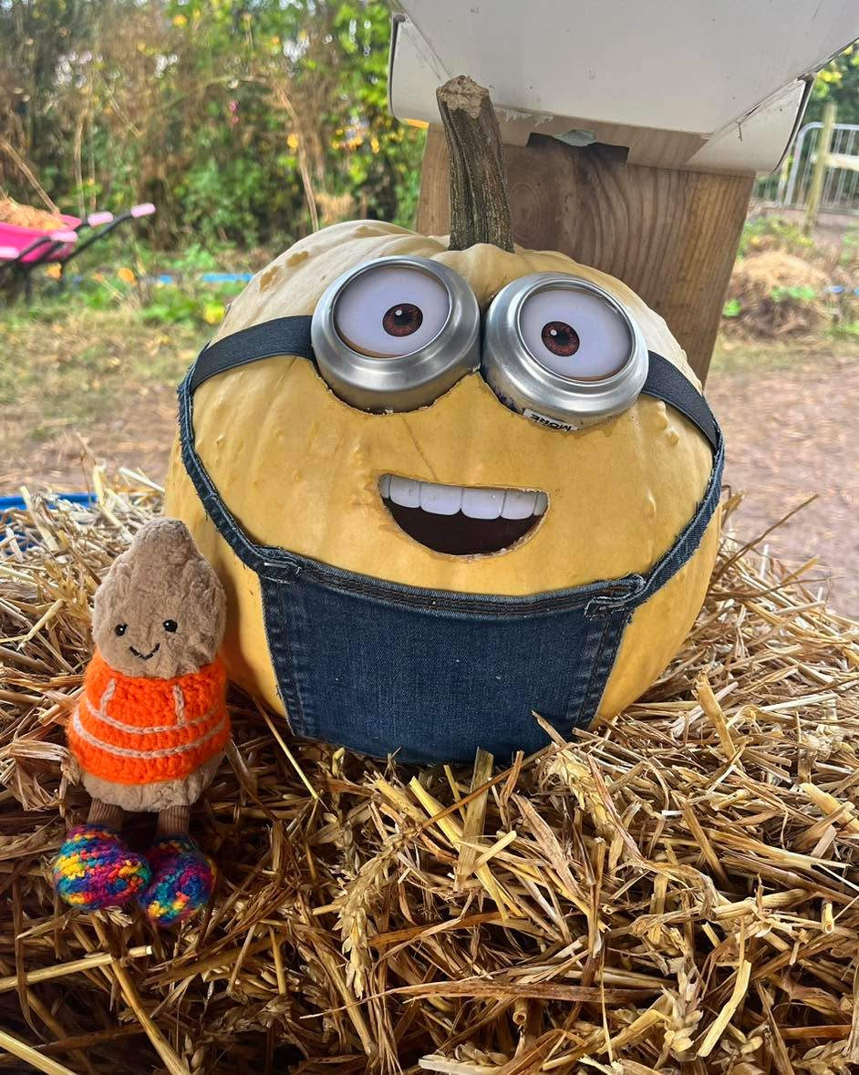 It looked like a Minion