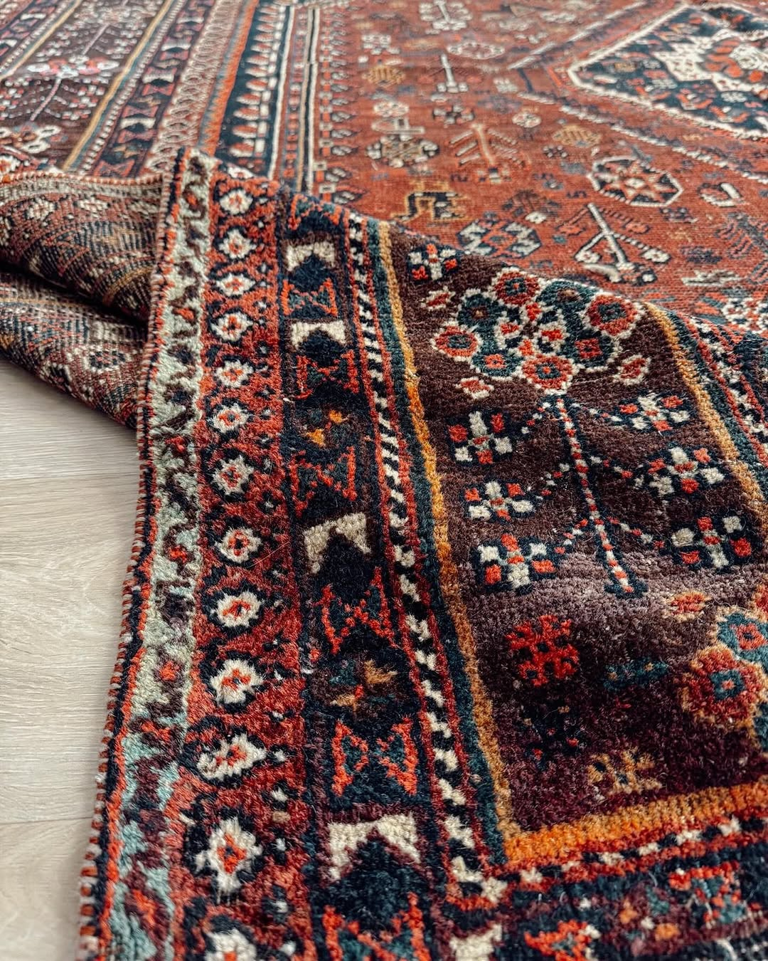 Rich Carpet