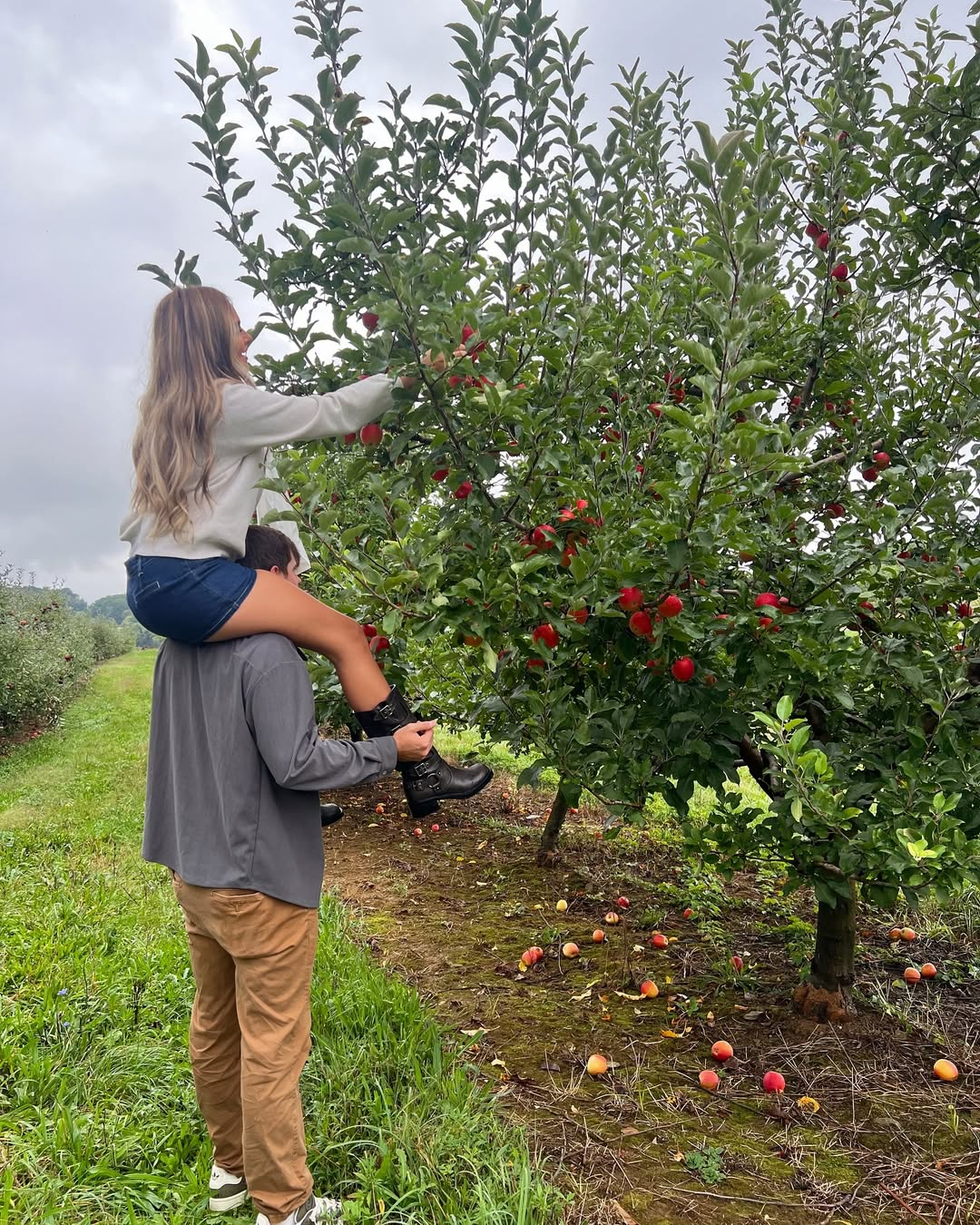 Apple Picking Date