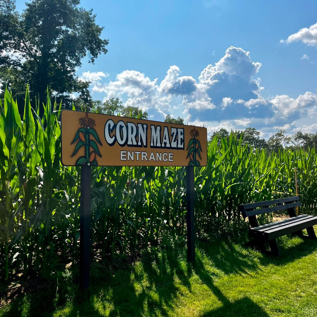 Corn Maze