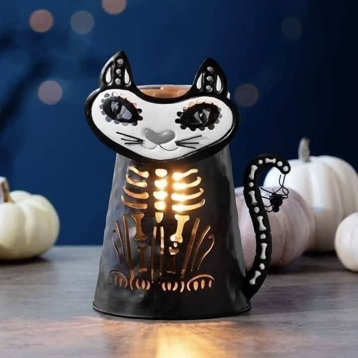 Cat Lantern