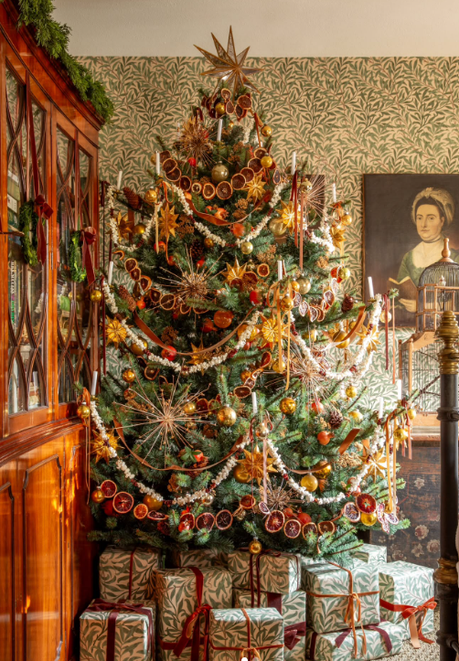 Herbs from kitchen for Christmas Tree Decorations 