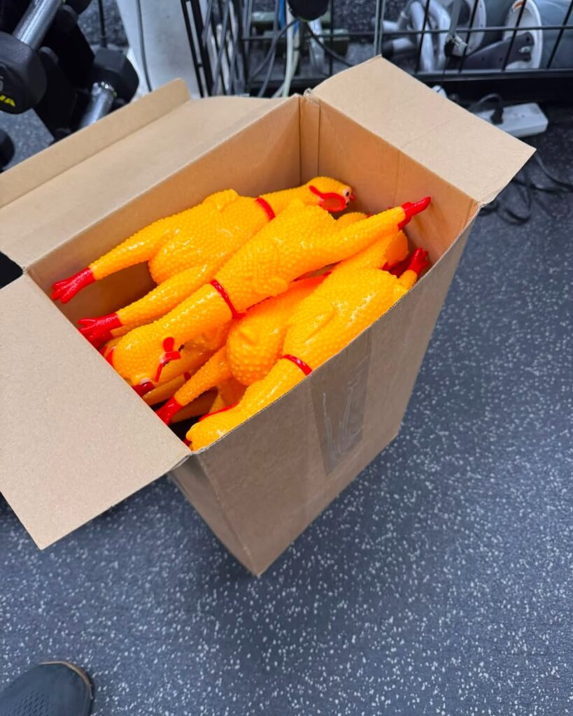 Rubber Chicken Box