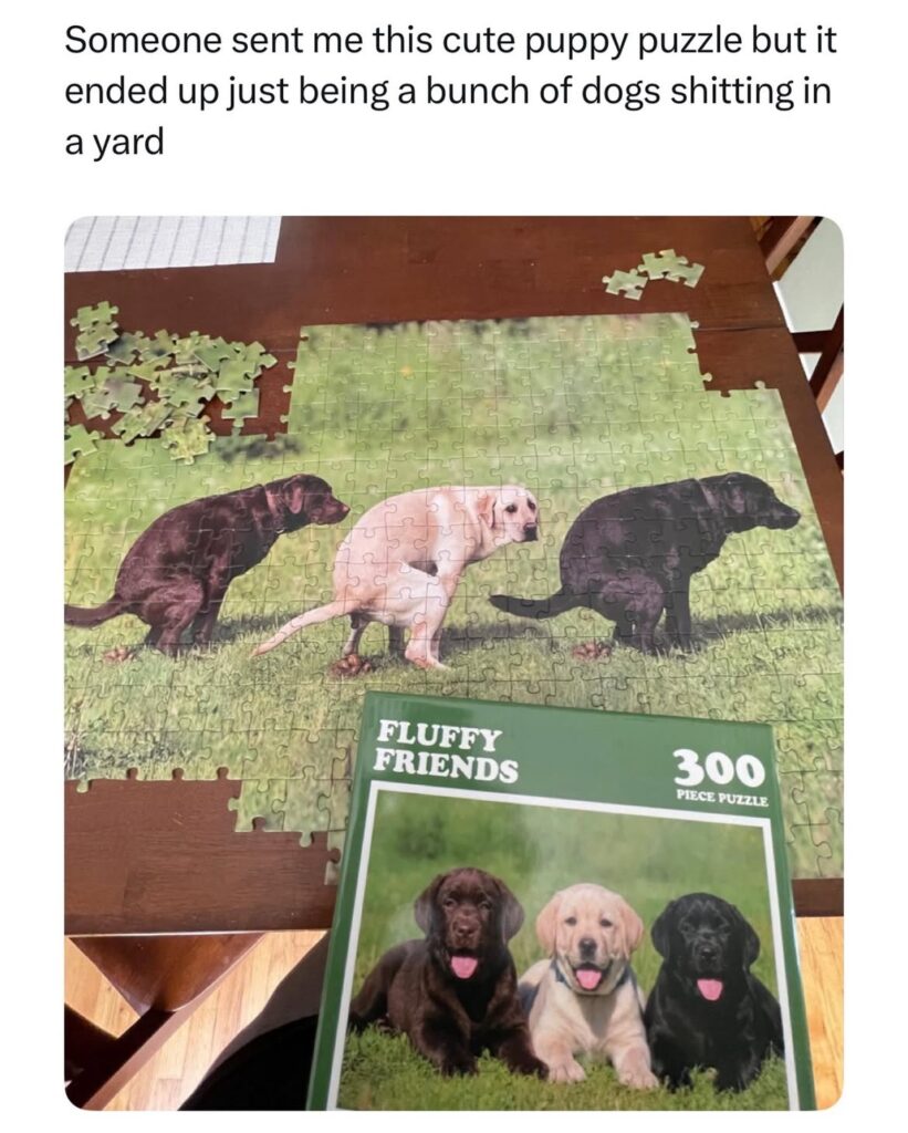 Gross Dog Poop Puzzle