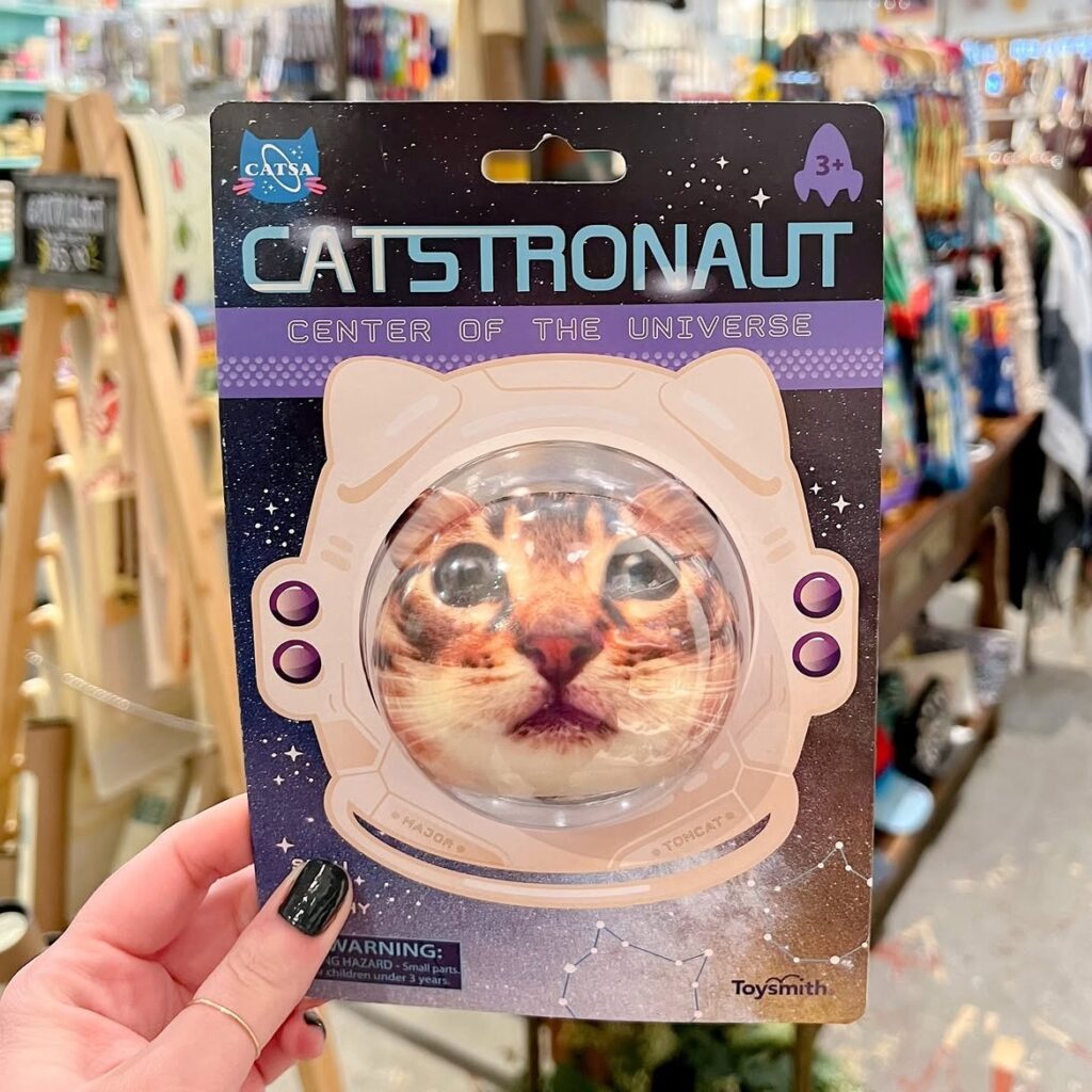 Catstronaut To