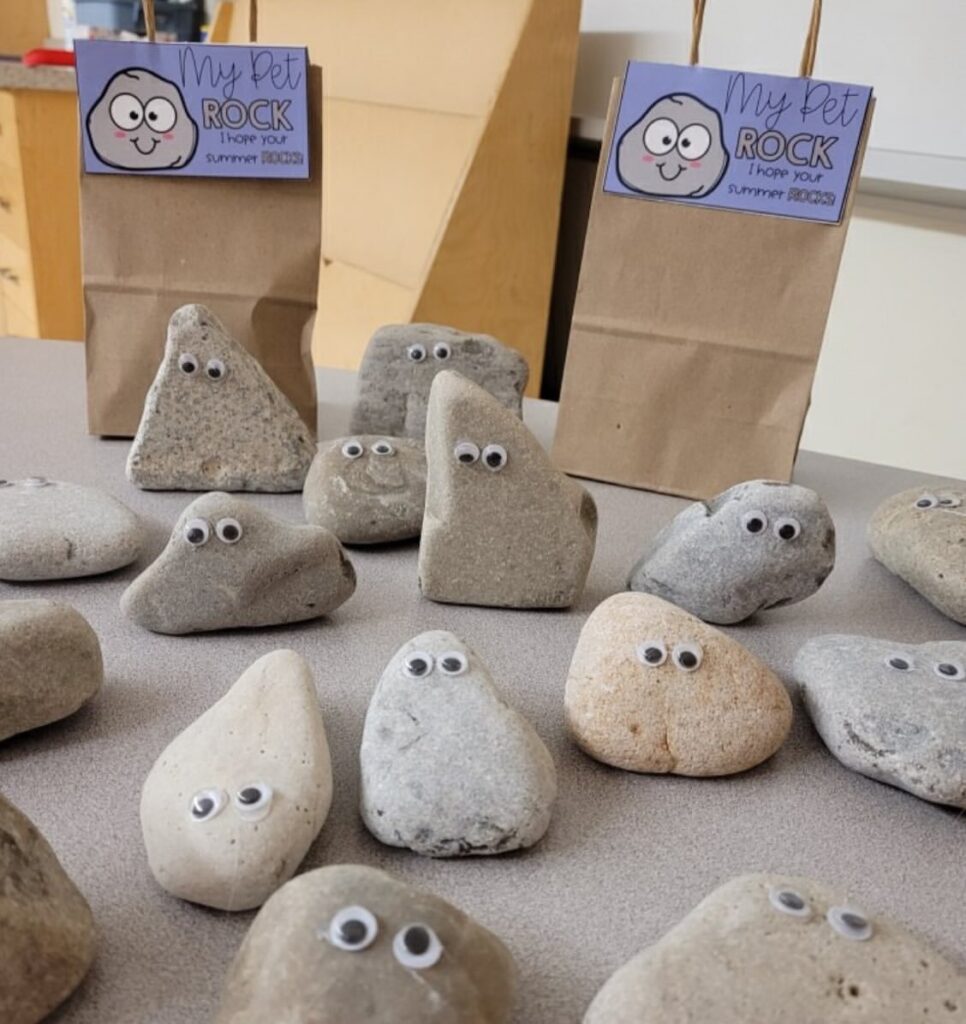 Pet Rock Gift