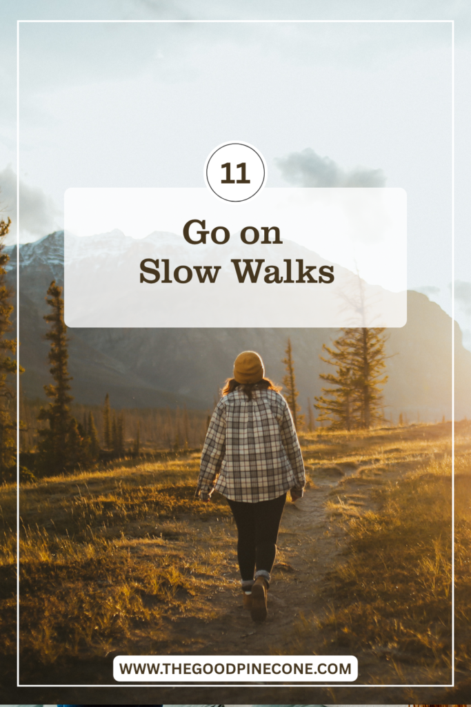 Take Slow and Scenic Walks