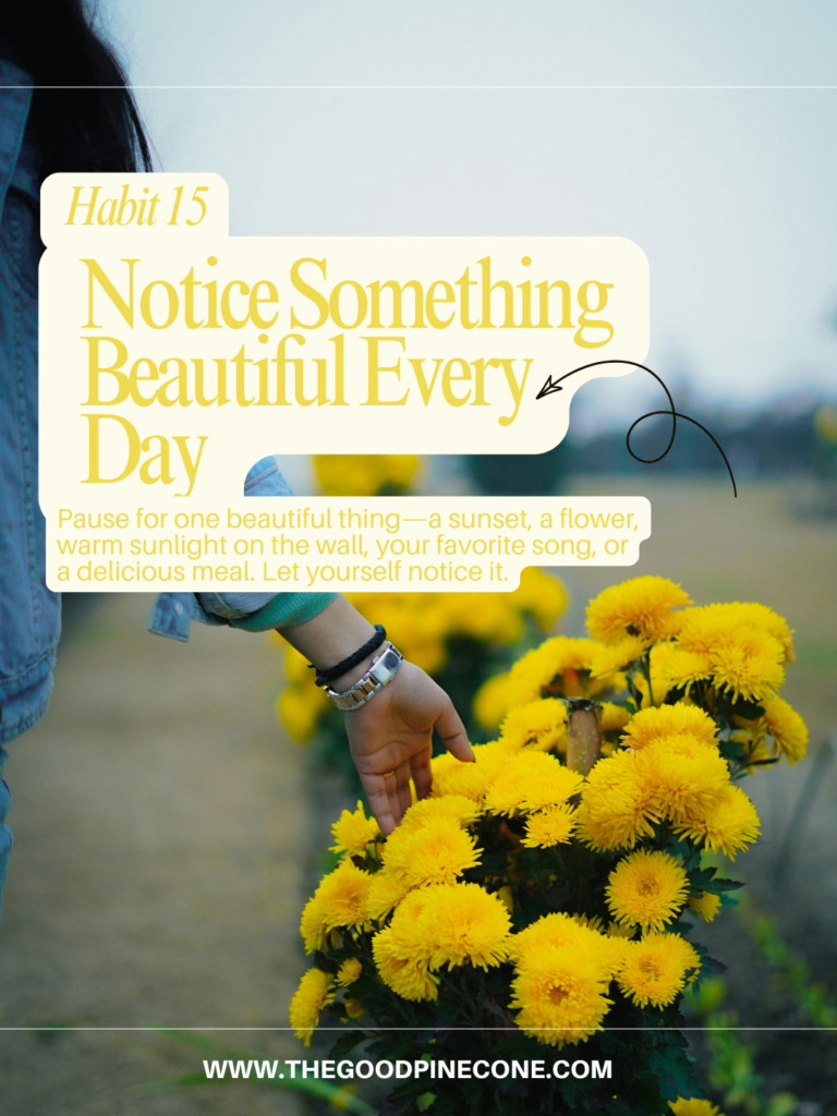 Look for Something Beautiful 